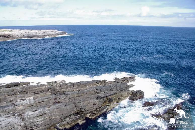 南澳第一秘境袋鼠島:冰島、非洲、馬代野感叁合一