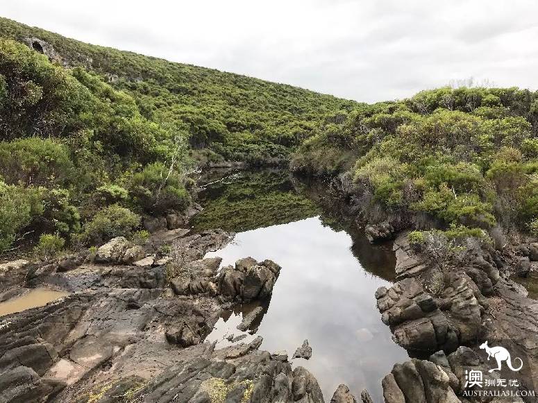 南澳第一秘境袋鼠島:冰島、非洲、馬代野感叁合一