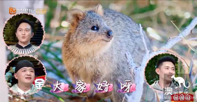 《妻子的浪漫旅行2》目的地:珀斯羅特尼斯島遊玩全攻略