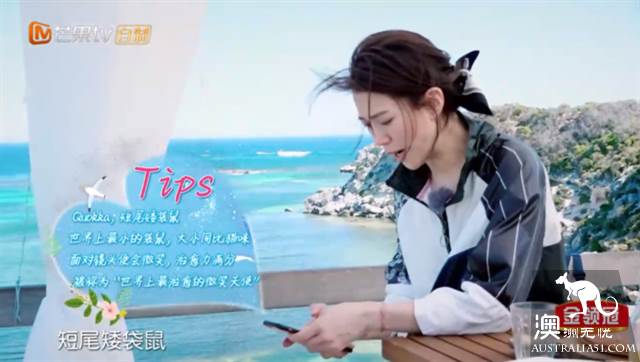 《妻子的浪漫旅行2》目的地:珀斯羅特尼斯島遊玩全攻略
