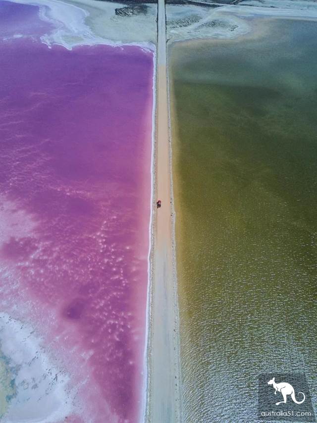 南澳自駕攻略:艾爾半島與海獅同遊,觀“西瓜大道”