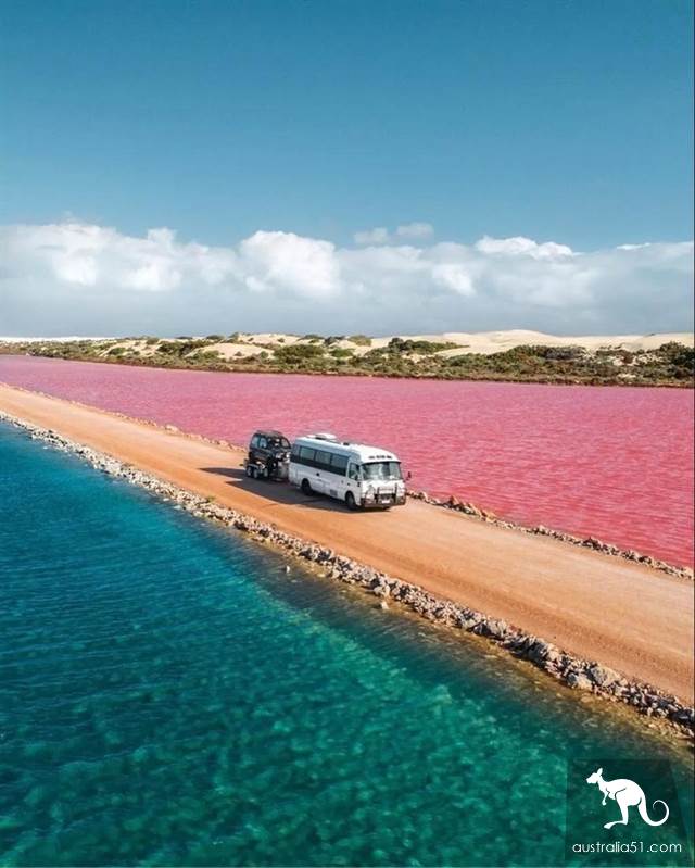 南澳自駕攻略:艾爾半島與海獅同遊,觀“西瓜大道”