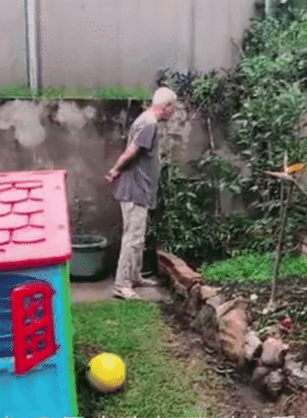 “又贵吃得又不好!”华人阿姨diss澳洲幼儿园,她竟都说对了!“脏乱”的幼儿园,让所有孩子都“野”到飞起