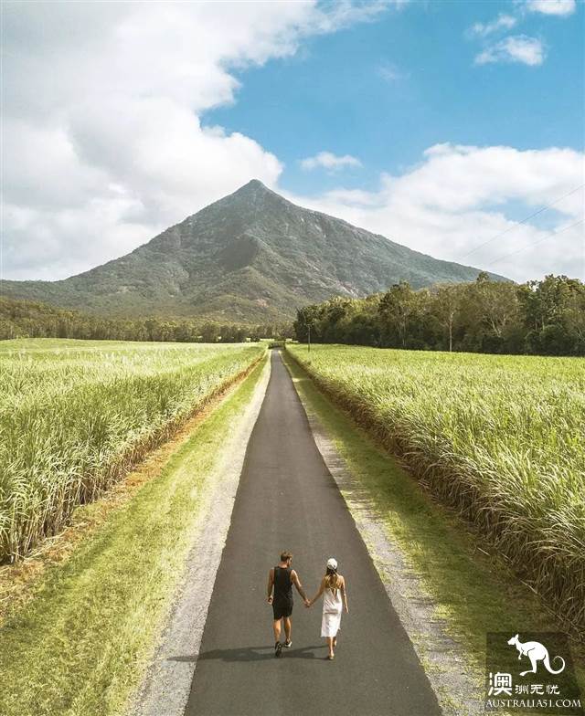 凱恩斯和大堡礁,她可鹽可甜,可萌可仙可狂野