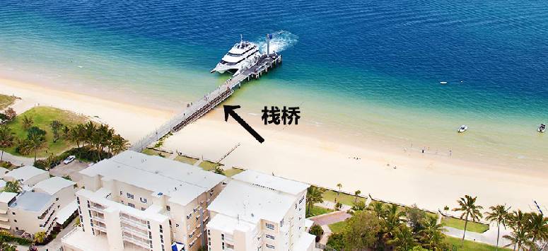 亲手喂海豚是种怎样的体验？玩转摩顿岛全攻略