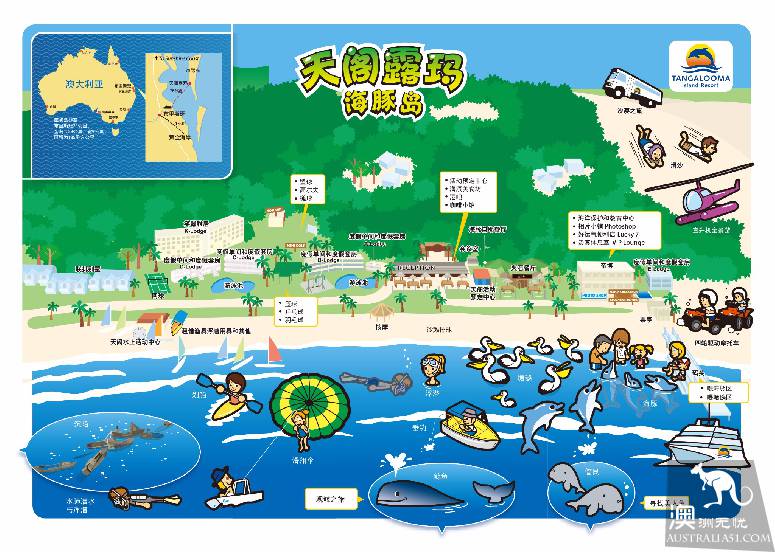 亲手喂海豚是种怎样的体验？玩转摩顿岛全攻略