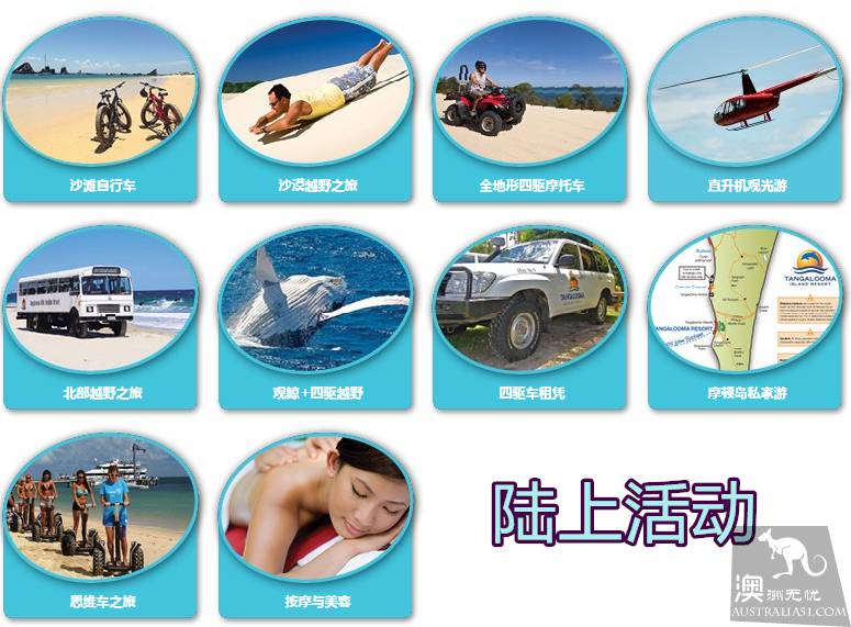 亲手喂海豚是种怎样的体验？玩转摩顿岛全攻略