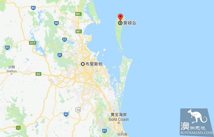 亲手喂海豚是种怎样的体验？玩转摩顿岛全攻略