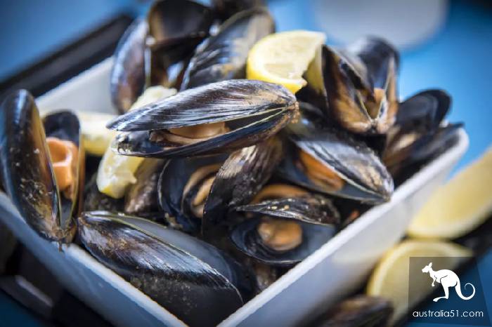 塔州美食攻略:聽說塔州的鮑魚比臉大,櫻桃比眼睛大?