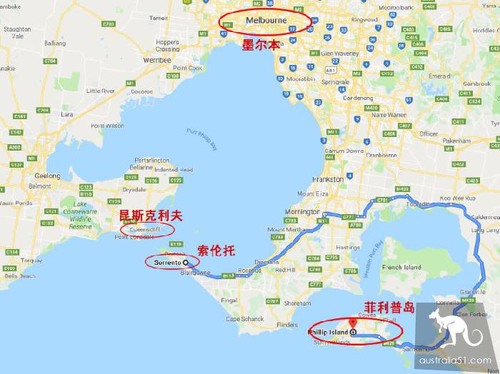 從墨爾本的企鵝島到大洋路,輪渡費用多少?