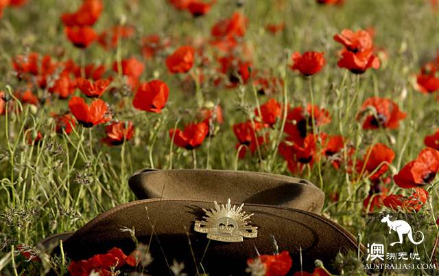 关于ANZAC Day（澳新军团日），你所需要知道的一切