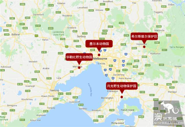 墨爾本四大動物園全攻略,帶妳玩轉動物世界