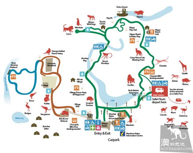 墨爾本四大動物園全攻略,帶妳玩轉動物世界