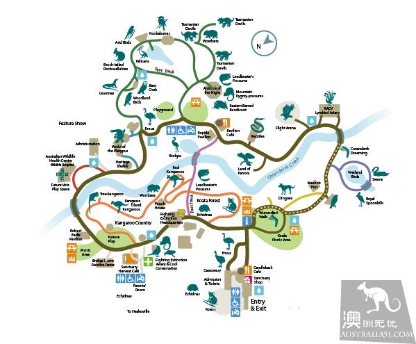 墨爾本四大動物園全攻略,帶妳玩轉動物世界