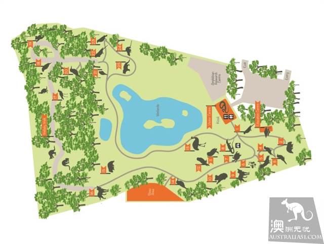 墨爾本四大動物園全攻略,帶妳玩轉動物世界