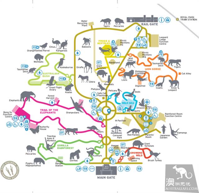 墨爾本四大動物園全攻略,帶妳玩轉動物世界