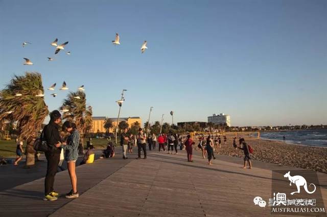 墨爾本聖基爾達(St Kilda)最強吃喝玩樂攻略