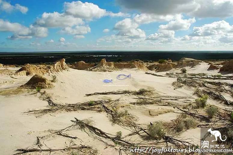 新南威爾士州:微縮版的“中國長城”:蒙哥國傢公園