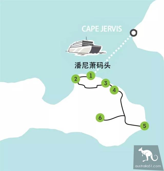 袋鼠島最新自駕路線,每一處都是意猶未盡
