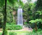 米拉米拉瀑布(Millaa Millaa Waterfall)