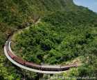 库兰达（Kuranda）