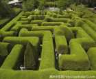 雅思迷宫及薰衣草花园（Ashcombe Maze & Lavender Gardens）