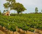 库纳瓦拉（Coonawarra）