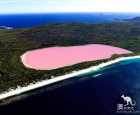 希利尔湖（Lake Hillier）