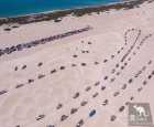 兰斯林(Lancelin)