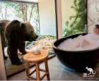 国家动物园水族馆（National Zoo and Aquarium）