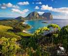 豪勳爵島(Lord Howe Island)
