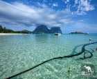 奈德海滩（Neds Beach）