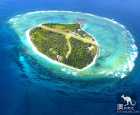 埃裹奧特夫人島(Lady Elliot Island)