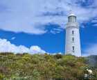 布鲁尼岛灯塔（Bruny Island Lighthouse）