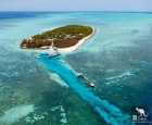 赫伦岛（Heron Island）