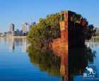 沉船森林（SS Ayrfield Shipwreck）