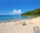 努萨角主海滩（Noosa Heads Main Beach）
