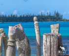 松树岛（Isle of Pines）