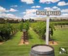 杰卡斯酒庄（Jacob's Creek）