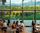 道门酩悦（Domaine Chandon）