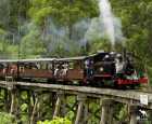 普芬比利蒸汽小火車（Puffing Billy Railway）