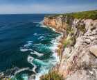 皇家国家公园（Royal National Park）