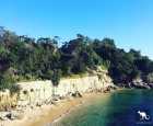 小姐湾海滩（Lady Bay Beach）