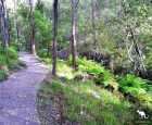 斯普林伍德保护公园（Springwood Conservation Park）