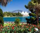悉尼皇傢植物園（Royal Botanic Gardens）