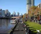 亞菈河（Yarra River）