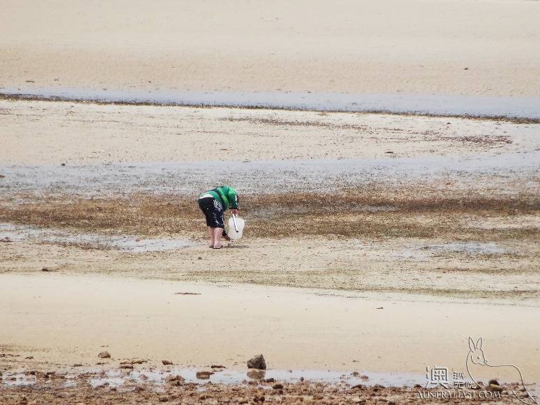 老司機在南澳之約克半島自駕攻略