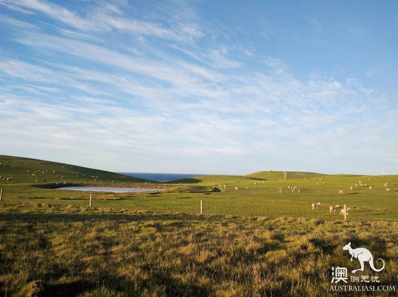 老司機在南澳之袋鼠島自駕攻略