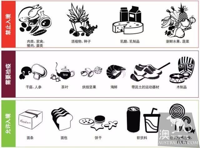 重磅!澳海關入境政策大整改!香煙從此只能帶25根,違規者最高可判處監禁及萬以上罰款