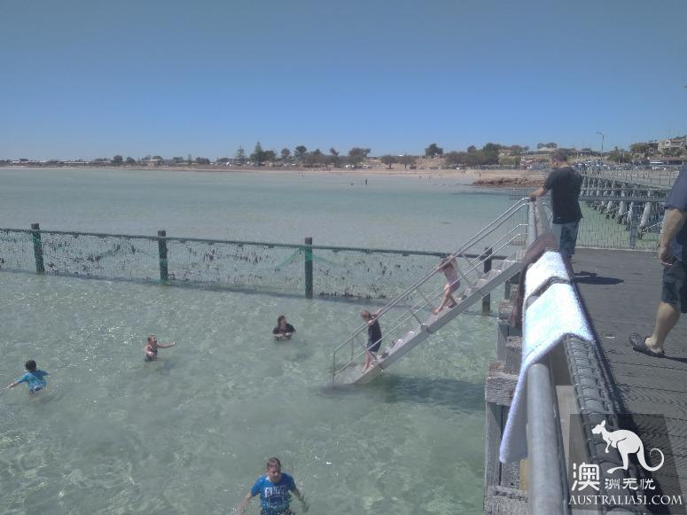 阿德萊德粉紅湖(Bumbunga Lake)完全攻略,自駕跟團均適用